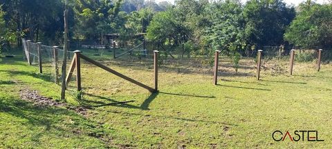Foto Fazenda / Sítio / Chácara