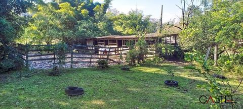 Foto Fazenda / Sítio / Chácara
