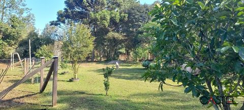 Foto Fazenda / Sítio / Chácara