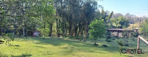 Foto Fazenda / Sítio / Chácara