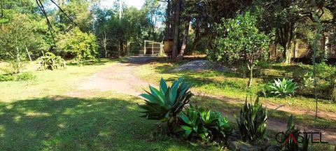 Foto Fazenda / Sítio / Chácara