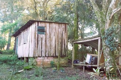 Foto Fazenda / Sítio / Chácara