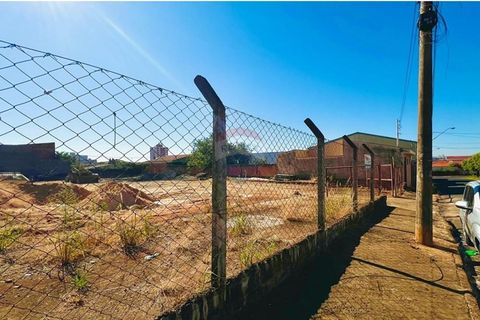 Foto Terreno
