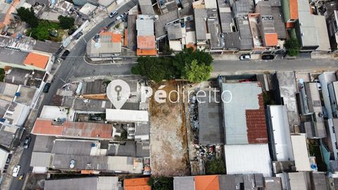 Foto Terreno