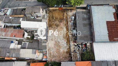 Foto Terreno