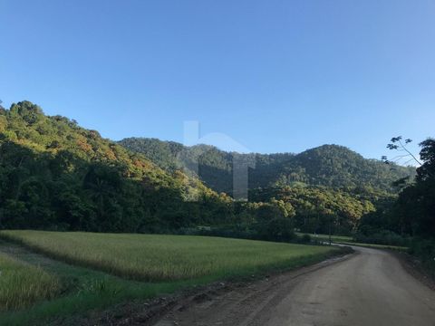 Foto Terreno
