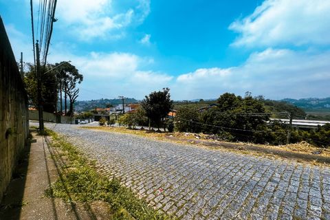 Foto Terreno