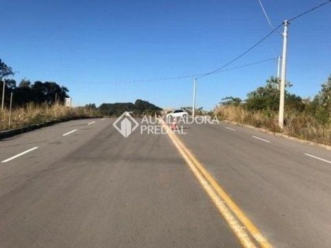 Foto Terreno