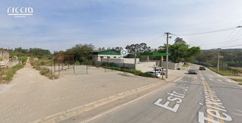 Foto Terreno