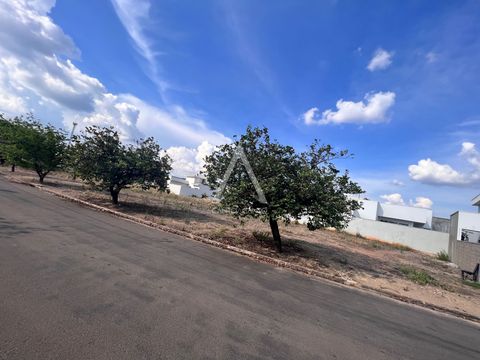 Foto Terreno