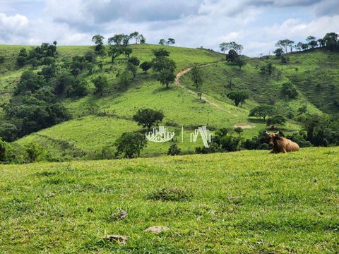 Foto Fazenda / Sítio / Chácara