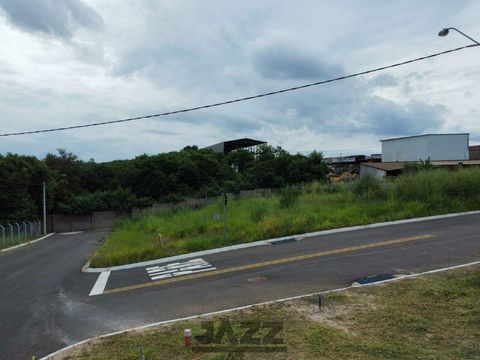 Foto Terreno