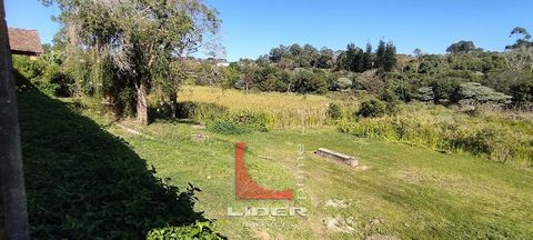 Foto Fazenda / Sítio / Chácara