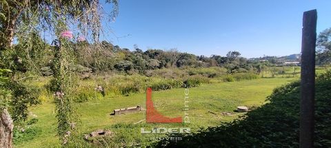 Foto Fazenda / Sítio / Chácara