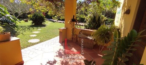 Foto Fazenda / Sítio / Chácara