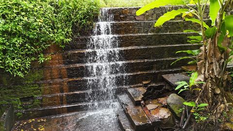 Foto Fazenda / Sítio / Chácara