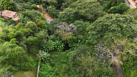 Foto Fazenda / Sítio / Chácara