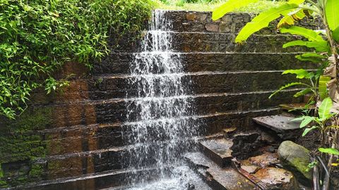 Foto Fazenda / Sítio / Chácara
