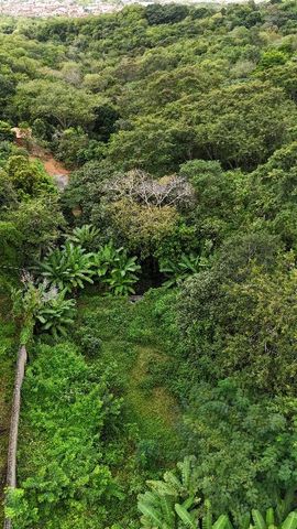 Foto Fazenda / Sítio / Chácara