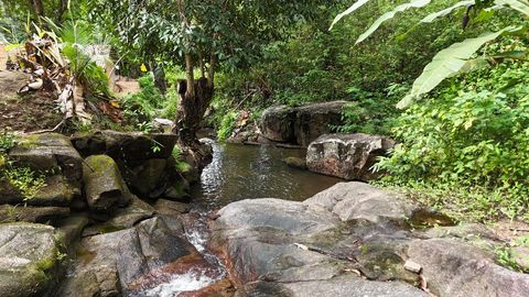Foto Fazenda / Sítio / Chácara