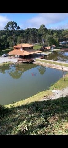 Foto Fazenda / Sítio / Chácara