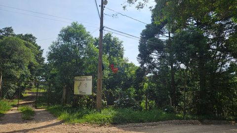 Foto Fazenda / Sítio / Chácara