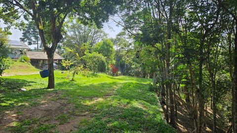 Foto Fazenda / Sítio / Chácara