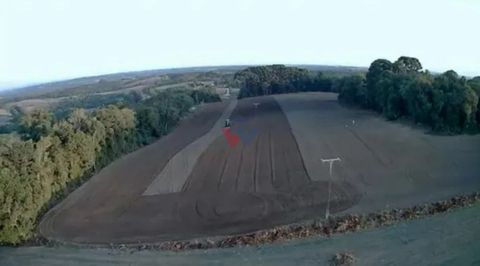 Foto Fazenda / Sítio / Chácara