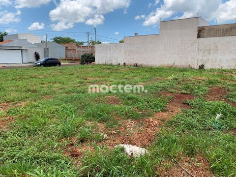 Foto Terreno