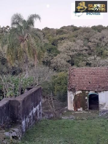 Foto Fazenda / Sítio / Chácara