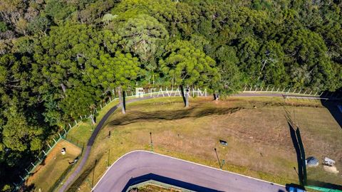 Foto Terreno