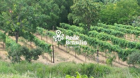 Foto Fazenda / Sítio / Chácara