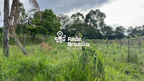 Foto Fazenda / Sítio / Chácara