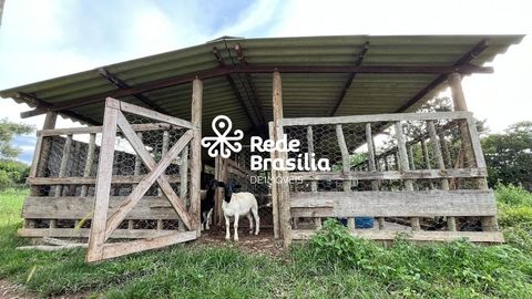 Foto Fazenda / Sítio / Chácara
