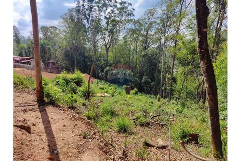 Foto Terreno