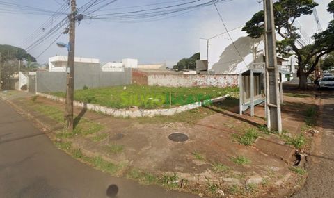 Foto Terreno