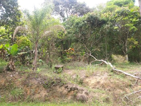 Foto Fazenda / Sítio / Chácara