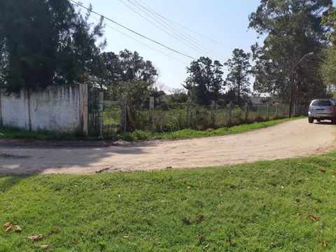 Foto Terreno