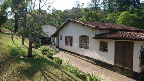 Foto Terreno
