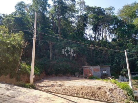 Foto Terreno