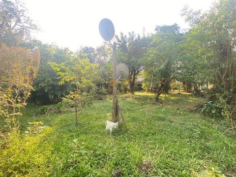 Foto Terreno