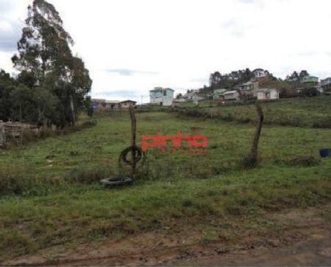 Foto Terreno