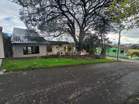Foto Terreno