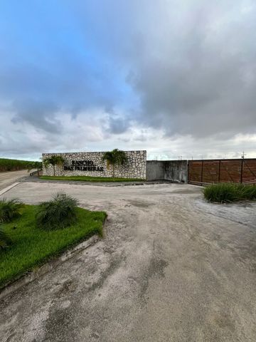 Foto Fazenda / Sítio / Chácara