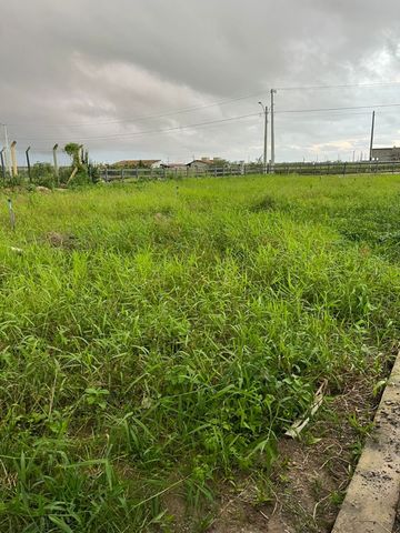 Foto Fazenda / Sítio / Chácara