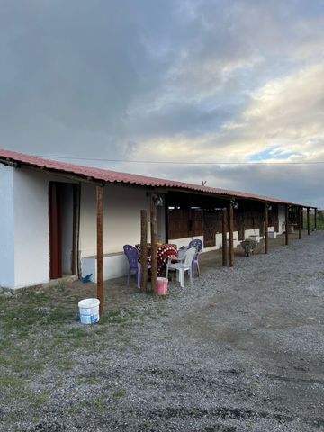 Foto Fazenda / Sítio / Chácara