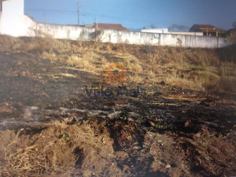 Foto Terreno