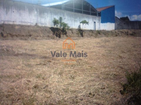 Foto Terreno