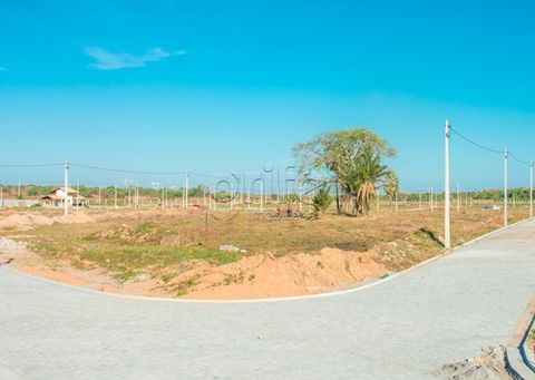 Foto Terreno