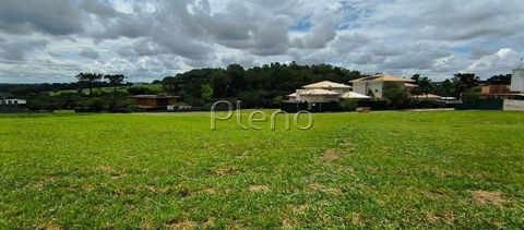 Foto Terreno